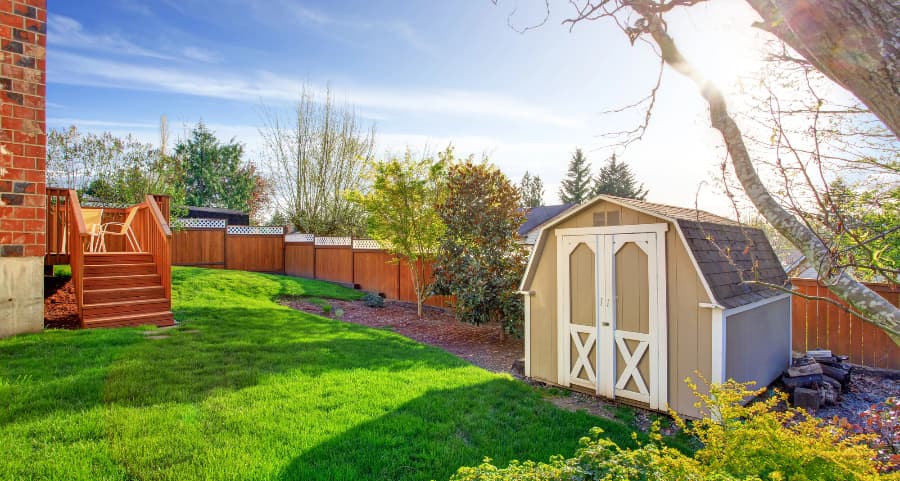 Fenced backyard with storage shed in Ventura